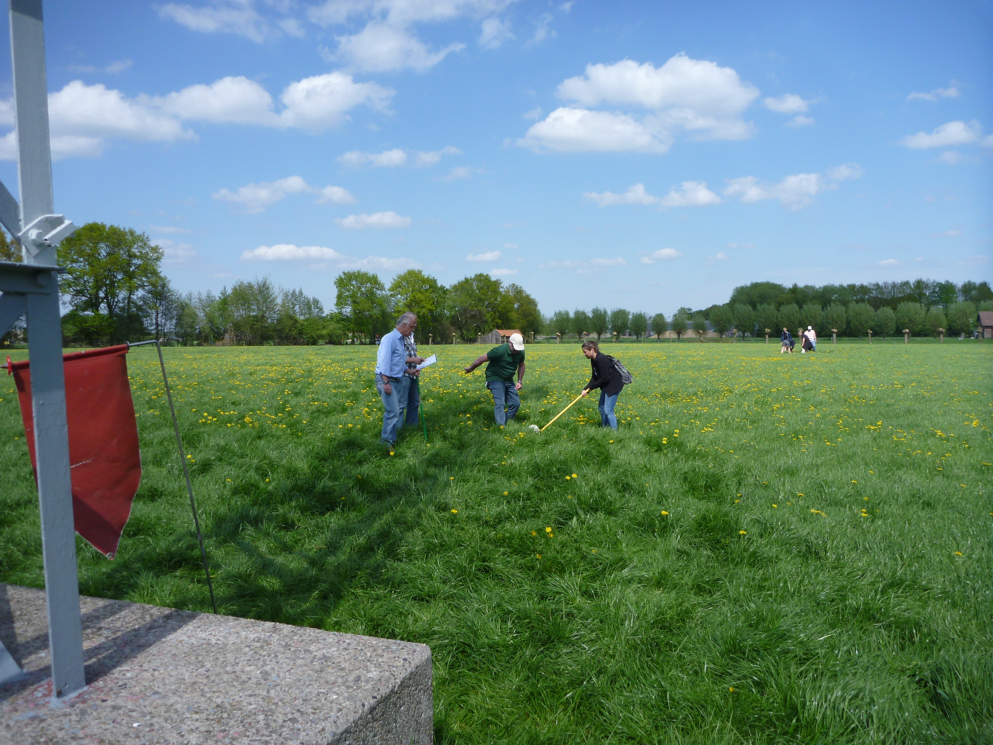 2013 HWK018.jpg